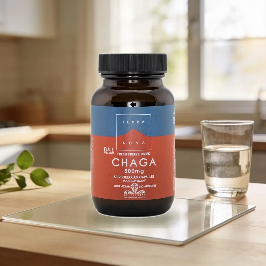 Terranova Chaga-sieni arkiympäristössä