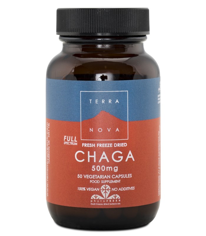 Terranova Chaga-sieni